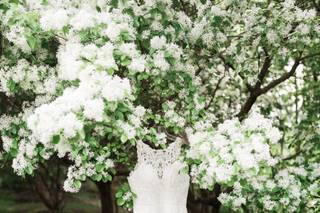 Couture Bridal of Maryland - 28