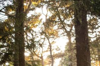 Rachel LeCrone Photography - 15