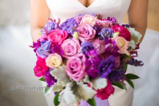 Dipp Photography - 103