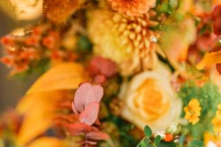 Rocking Bird Flower Co. - 7