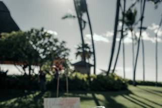 Esselle Weddings & Events - 13