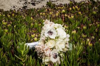 Heidi Borgia Photography - 50