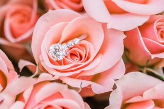 Anne Molnar Photography - 16