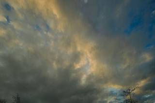 Captured Beauty Photography - 88