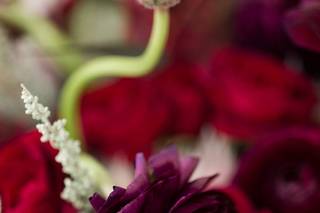 Lotus Floral Designs LLC - 36