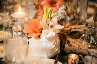 Glow Events - 114
