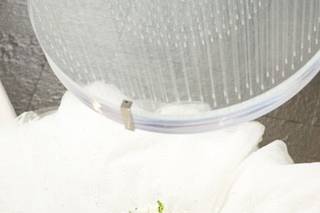 Sean Gallant Photography - 8