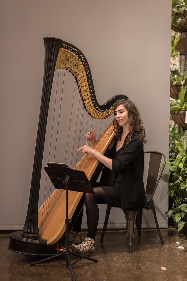 Stephanie Babirak, Harpist - 2