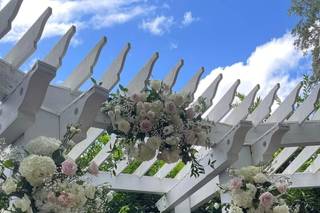 Harry P. Leu Gardens - 11