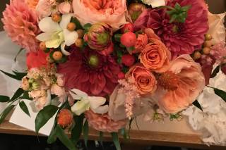 Harrington Flowers - 42