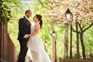 Happily Ever After Hair - 23