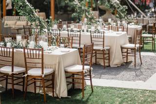 Stacey Events - 2