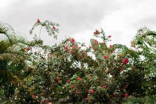 Danielle Owens Photography - 41
