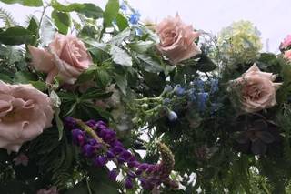 bloomsbury - 15