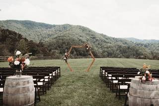 Flightless Bird Photography - 14