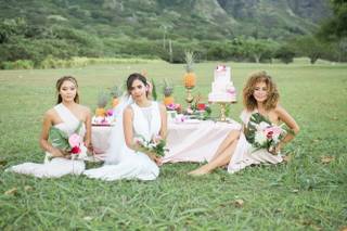 Vanessa Hicks Photography - 6