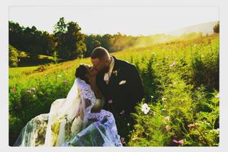 GOLIGHTLY STUDIOS - 12
