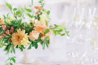 Sugar Rush Events - 9
