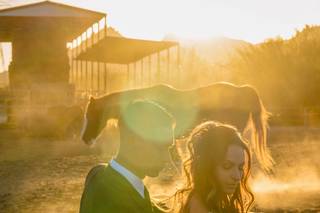 Laura Segall Photography - 6