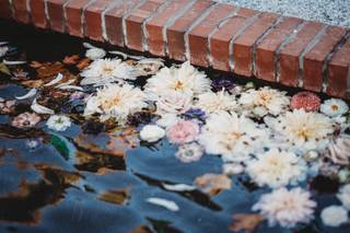 Cassandra Shah Flowers & Event Design - 50