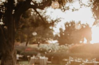 M.N.Y Photography - 9