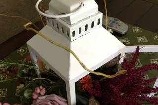The Flower Petaler - 34