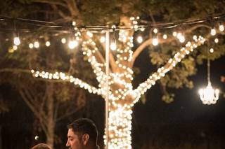 Larcom's Lighting - 13