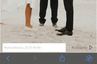 WinniesweddingsTampa - 44