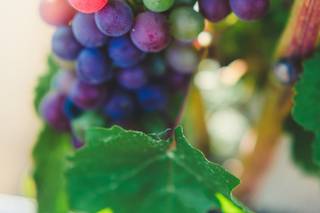 Karen J Hawley Photography - 36