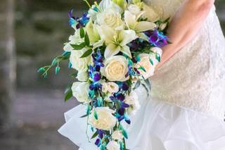 Wild Coast Flower Preservation - 15