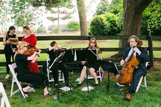 String Quartet of Northern Virginia - 9