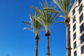 DoubleTree by Hilton Hotel Irvine -Spectrum - 14