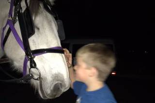 White Horse and Carriage Company - 6