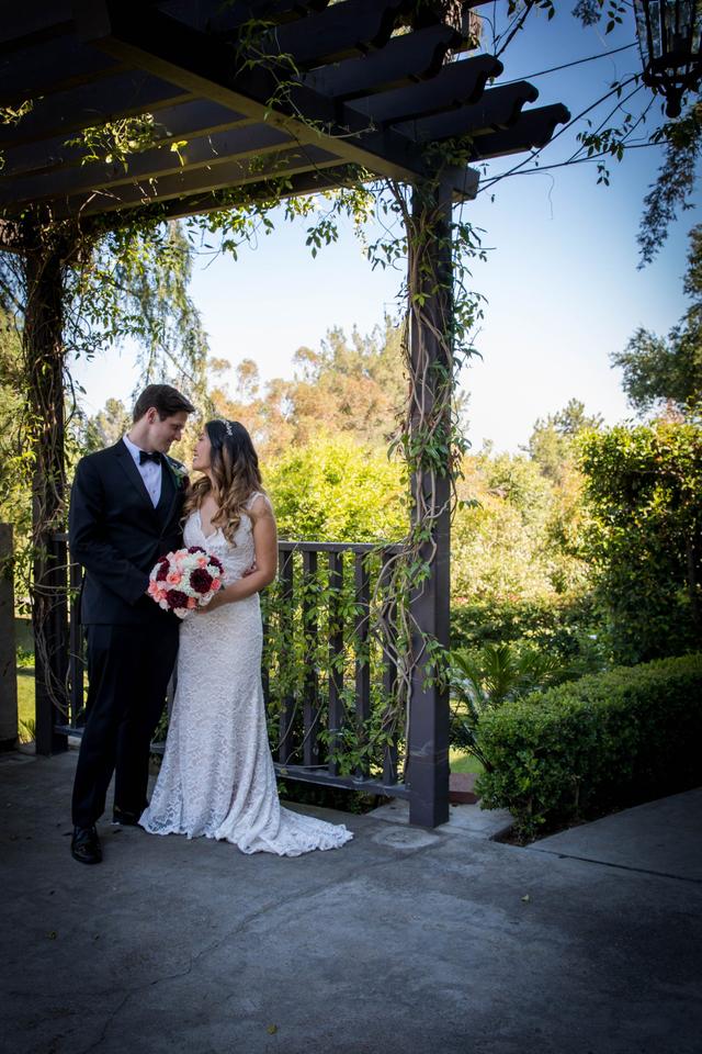 Olive Grove Photo - 2