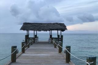 Weddings in the Bahamas - 96
