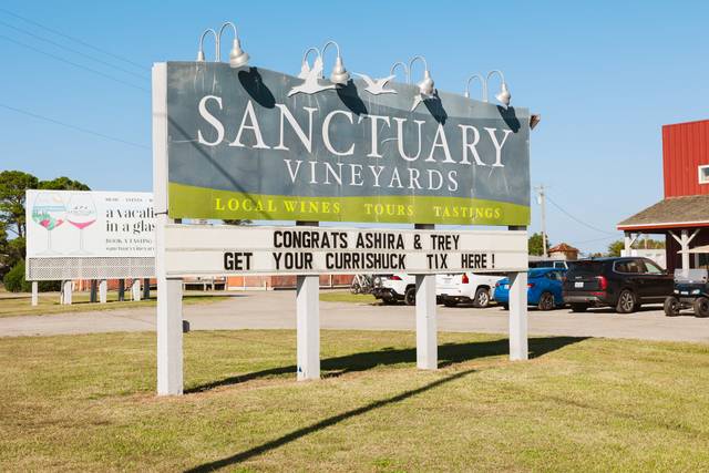 Sanctuary Vineyards 3