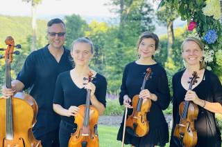 SUMMIT Strings - 101