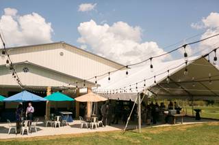Bella Terra Vineyards - 99