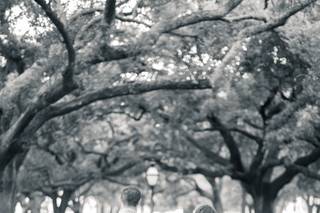Jennifer Mary Photography LLC - 17