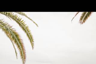Jessica Winkler Photography - 51