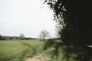 Summerfield Farms - 74