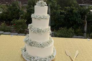 Draping Wedding - 86