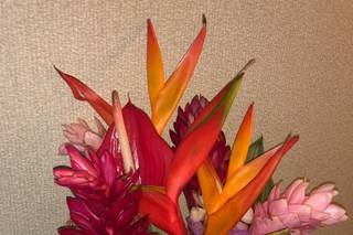 Artistic Florals - 10
