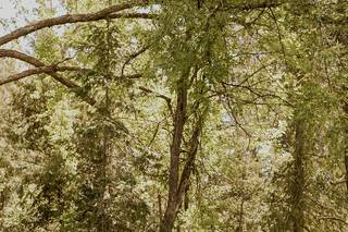 Rustic River Wedding Venue - 10