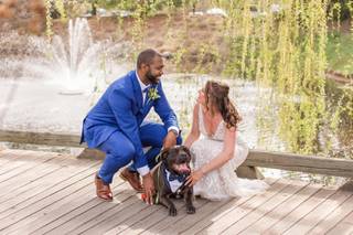 Nicole Lois Photography - 19