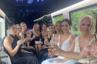 Ace Limousine & Airport Service - 28