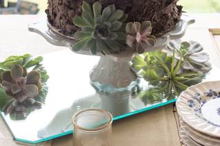 Tammy Klepac Photography - 24