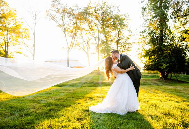 The Willows at Ashcombe Mansion - 4