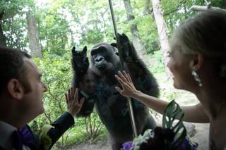 Bronx Zoo - 9
