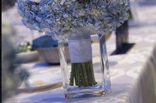Suzy Q Weddings - 10